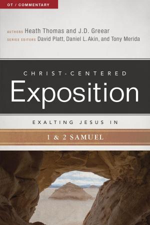 Book cover of Exalting Jesus in 1 & 2 Samuel