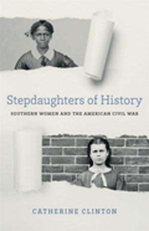 Book cover of Stepdaughters of History