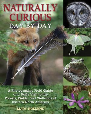 Cover of the book Naturally Curious Day by Day by Michael Johnston