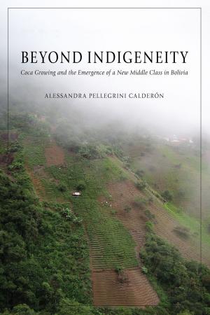 Cover of the book Beyond Indigeneity by Mark Santiago