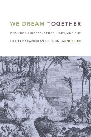 Cover of the book We Dream Together by Srirupa Roy, Julia Adams, George Steinmetz