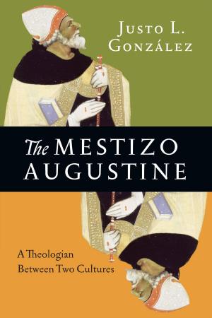 Cover of the book The Mestizo Augustine by Gary A. Parrett, S. Steve Kang