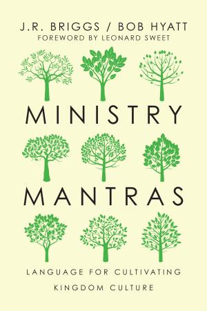 Cover of the book Ministry Mantras by Dominique DuBois Gilliard