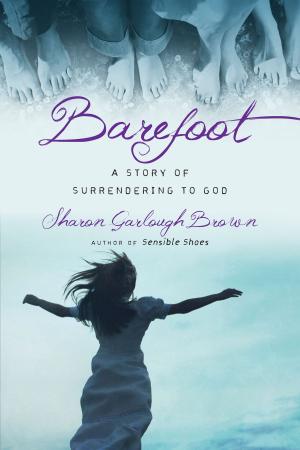 Cover of the book Barefoot by Steve Hayner, Sharol Hayner