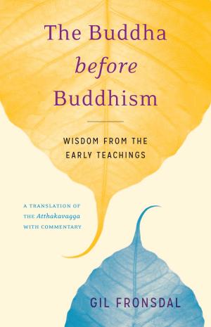 Cover of the book The Buddha before Buddhism by Diane Musho Hamilton