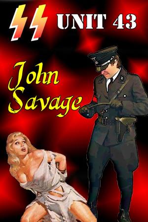 Cover of the book SS Unit 43 by John Savage