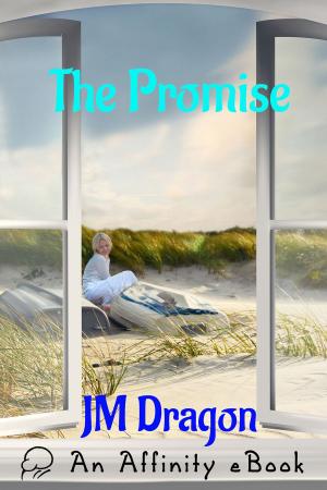 Cover of the book The Promise by Alain Fournier