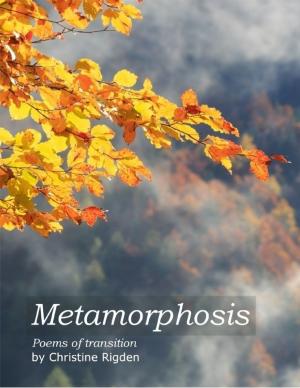 Cover of the book Metamorphosis by RC Monson