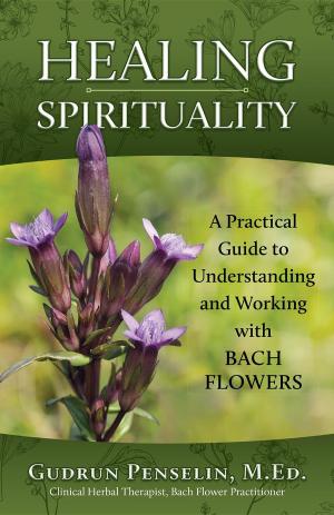 Cover of the book Healing Spirituality by Karin C. Uphoff