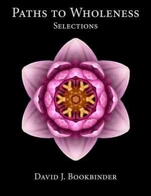 Book cover of Paths to Wholeness: Selections