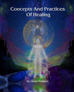 Cover of the book Concepts And Practices Of Healing by Kassidy Snow