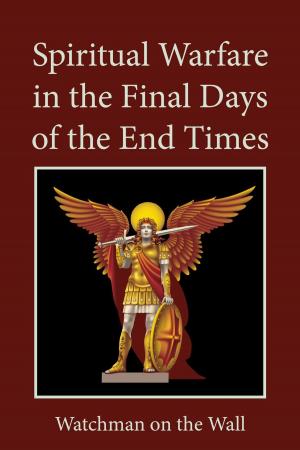 Cover of the book Spiritual Warfare in the Final Days of the End Times by Daniel O. Ogweno