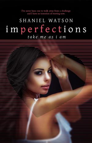 Book cover of Imperfections Take Me As I Am