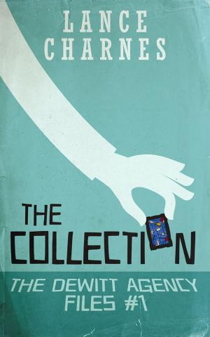 Cover of the book The Collection by Meghan O'Flynn