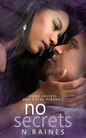Cover of the book No Secrets by Diana Marie DuBois