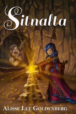 Cover of the book Sitnalta by DC McGannon, C. Michael McGannon