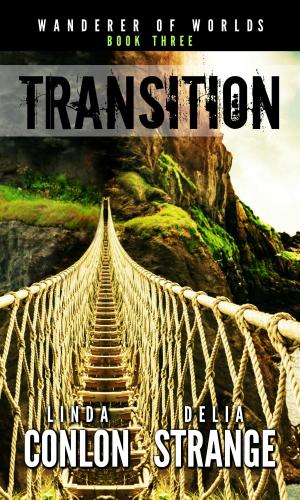 bigCover of the book Transition by 