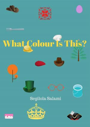 bigCover of the book What Colour Is This? by 