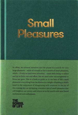 bigCover of the book Small Pleasures by 