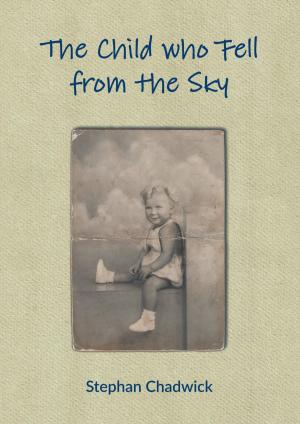 Cover of The Child who Fell from the Sky