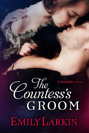 Cover of the book The Countess's Groom by Alyce White