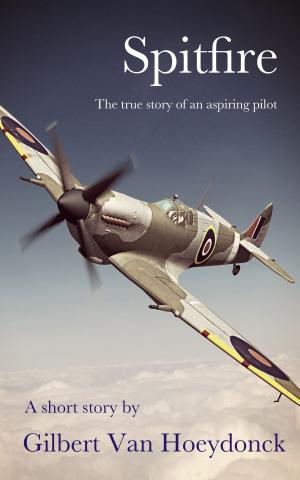 Cover of the book Spitfire by E. Joan O'Callaghan