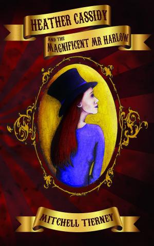 Book cover of Heather Cassidy and the Magnificent Mr Harlow