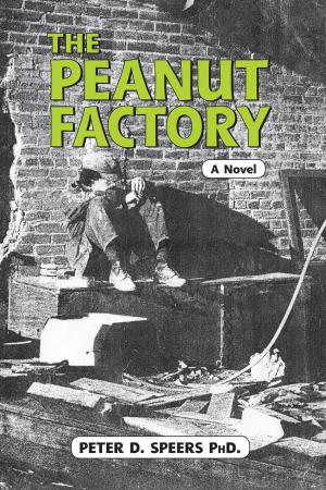 Cover of the book The Peanut Factory by Low Kay Hwa