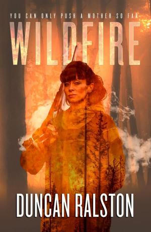 Cover of the book Wildfire by John Connolly