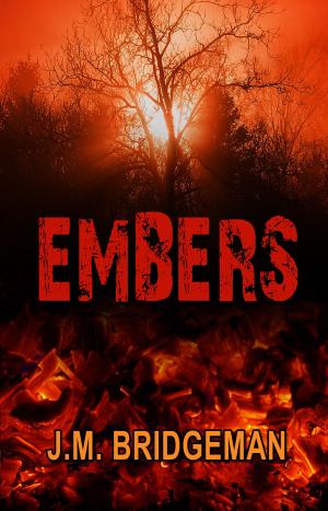 Cover of the book Embers by Joanne Alexander
