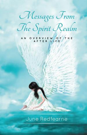 bigCover of the book Messages From The Spirit Realm by 