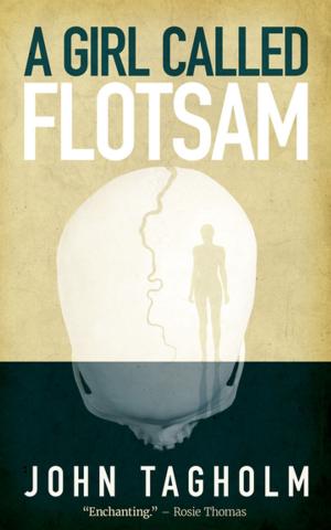 Cover of the book A Girl Called Flotsam by Stuart Hopps