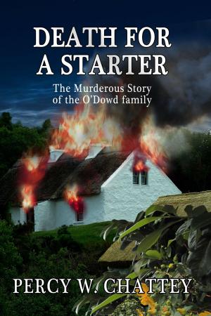 Cover of the book Death for a Starter by Adam Fenner