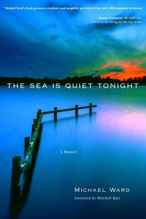 Book cover of The Sea Is Quiet Tonight