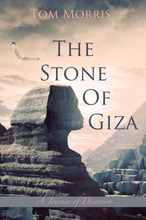 Book cover of The Stone of Giza