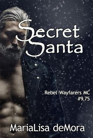 Cover of the book Secret Santa by J.D. Phillippi