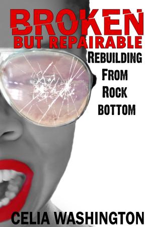 Cover of the book Broken but Repairable by P. Seymour