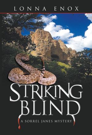Cover of the book Striking Blind by M.G. Herron