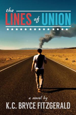 Cover of the book The Lines of Union by Cath Barton