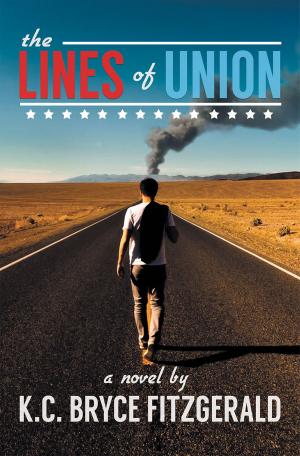 Cover of the book The Lines of Union by Alan Guzzetti