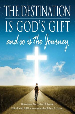 bigCover of the book The Destination is God's Gift and so is the Journey by 