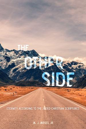 Cover of the book The Other Side by Muni Natarajan
