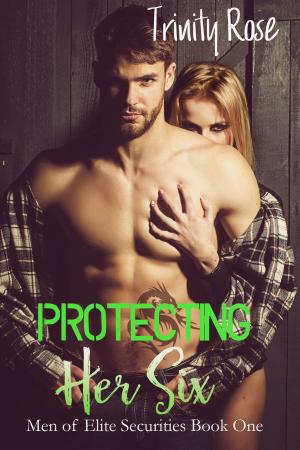 Cover of the book Protecting Her Six by Virginia Flowers