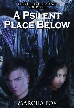 Cover of the book A Psilent Place Below by Vicki Shankwitz, Megan Pitts