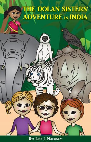 Book cover of The Dolan Sisters' Adventure in India