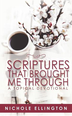 Cover of the book Scriptures That Brought Me Through by Kristi Burchfiel