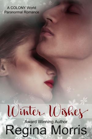 Book cover of Winter Wishes