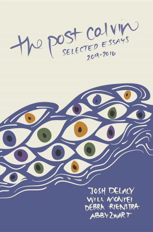 Cover of the book the post calvin by Ali Benmakhlouf