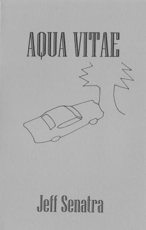 Cover of the book Aqua Vitae by Raul Pompeia