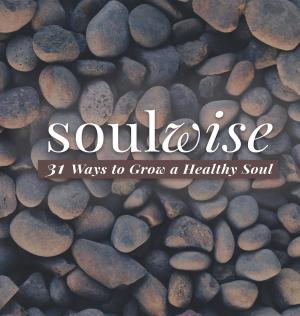 Book cover of Soulwise